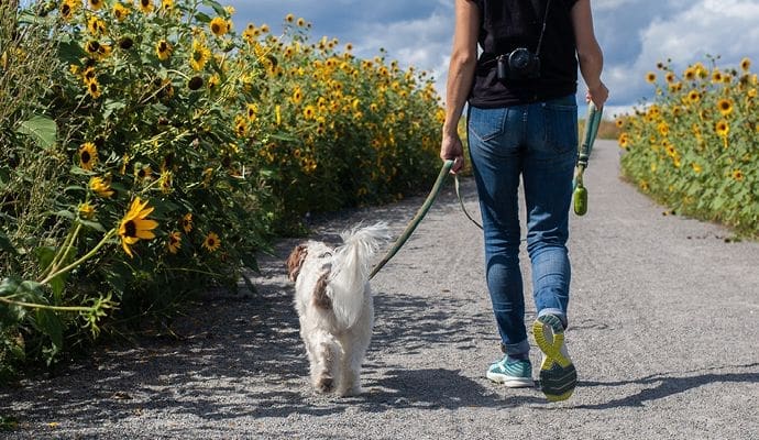 Aging Bladder Frequent Urination