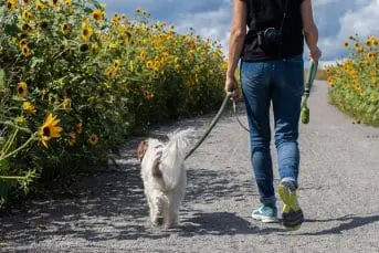 Aging Bladder Frequent Urination