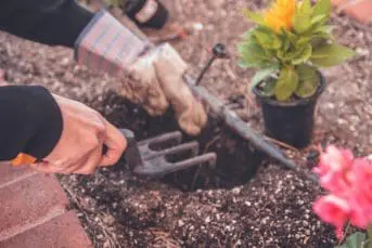 age related incontinence