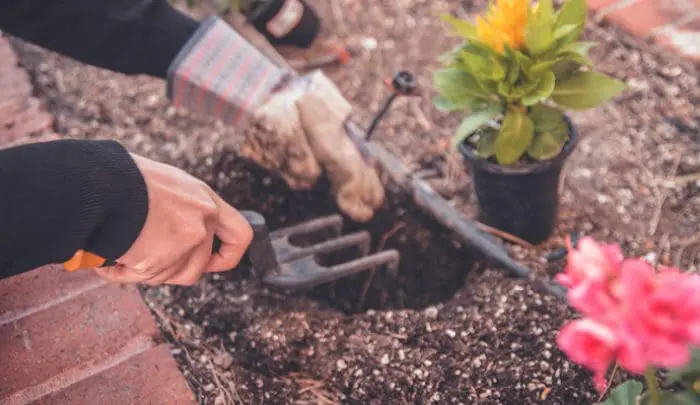 age related incontinence