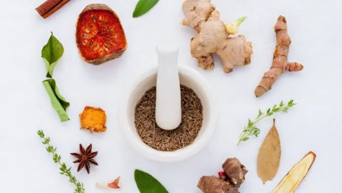 Best natural herbal memory supplement