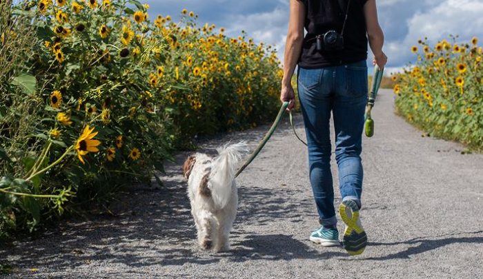 Aging Bladder Frequent Urination